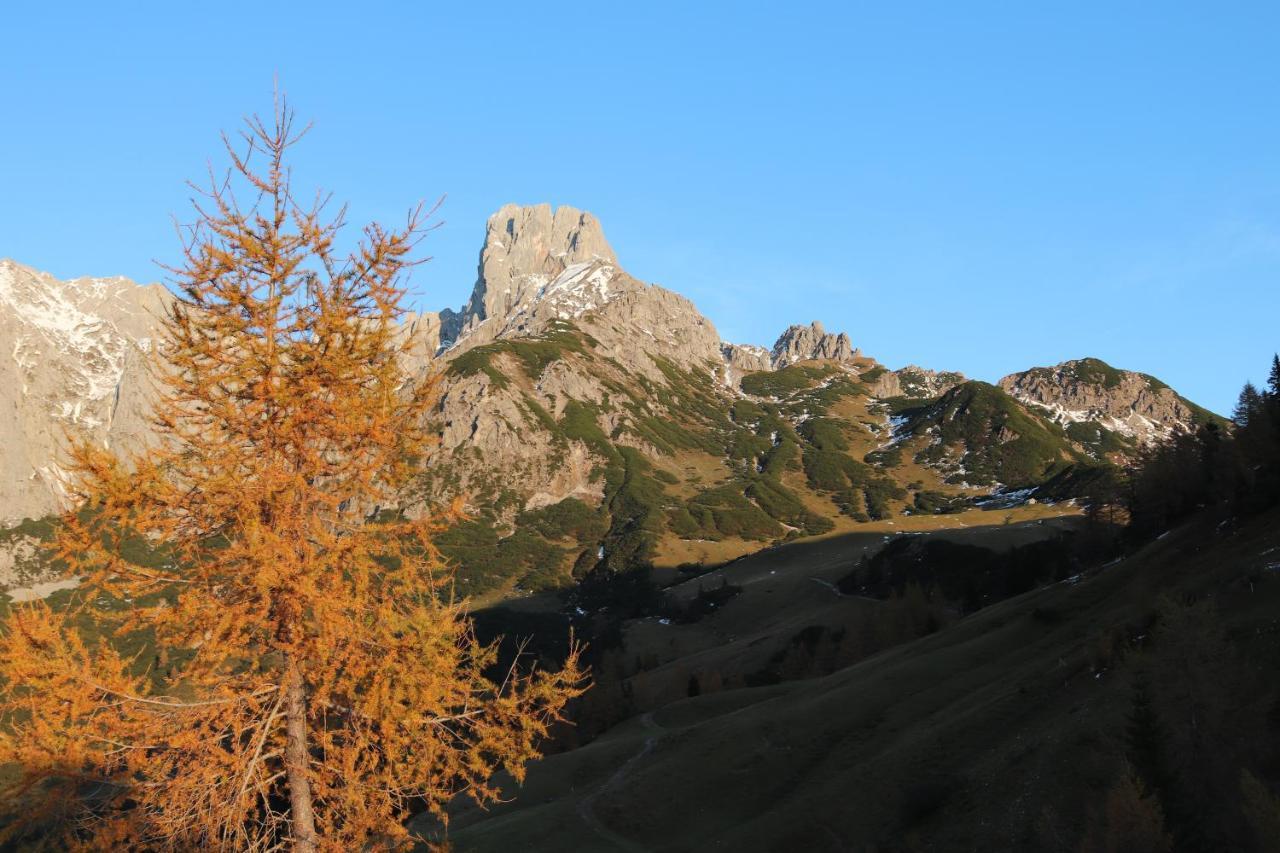 Hotel Payrhof Annaberg im Lammertal Exterior foto