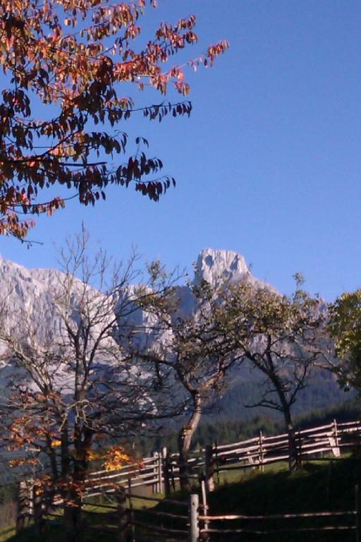 Hotel Payrhof Annaberg im Lammertal Exterior foto